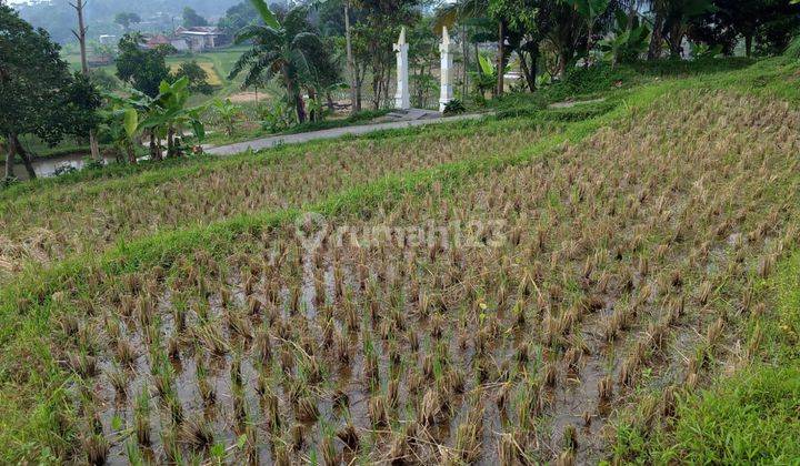 Tanah sawah murah sangat strategis view lepas nempel kali sungai 2