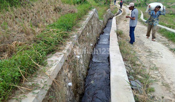 Tanah sawah murah sangat strategis view lepas nempel kali sungai 6