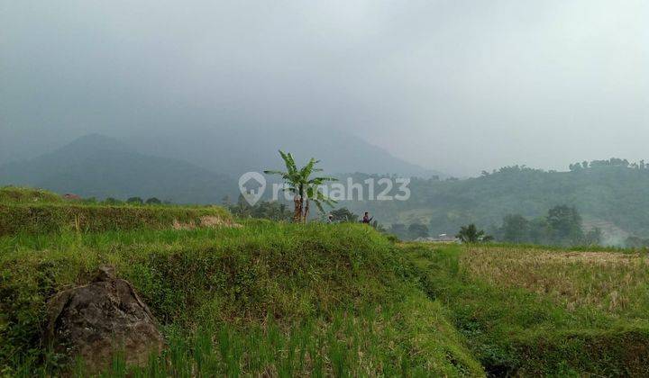 Tanah sawah murah sangat strategis view lepas nempel kali sungai 8