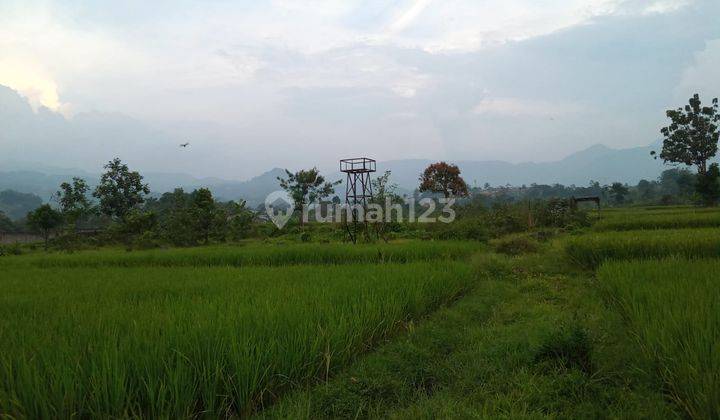Tanah sawah sangat strategis view lepas ke gunung  1