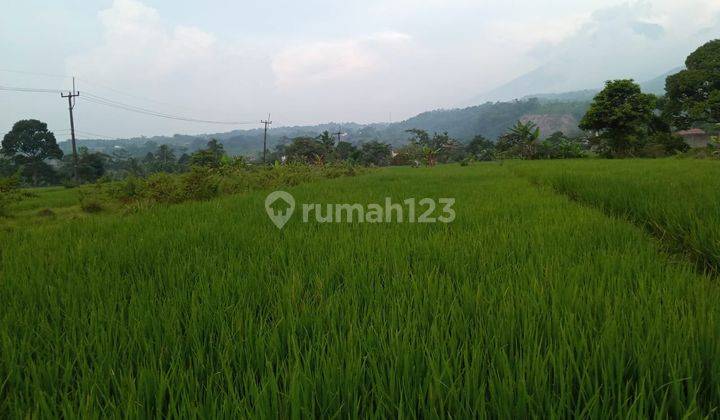 Tanah sawah sangat strategis view lepas ke gunung  3