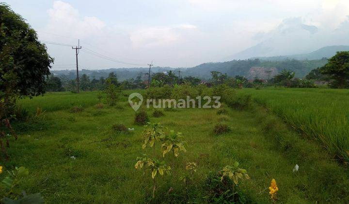 Tanah sawah sangat strategis view lepas ke gunung  5