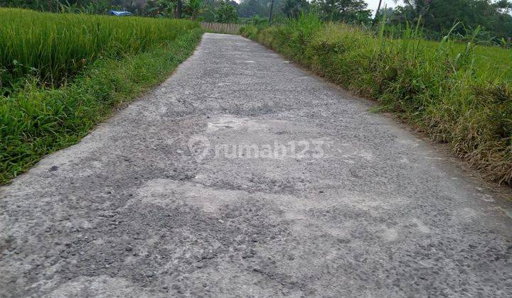 Tanah sawah sangat strategis view lepas ke gunung  7
