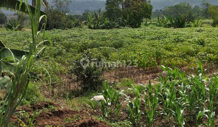 Tanah Murah+rata Sangat Strategis View Lepas Dipamijahan 2