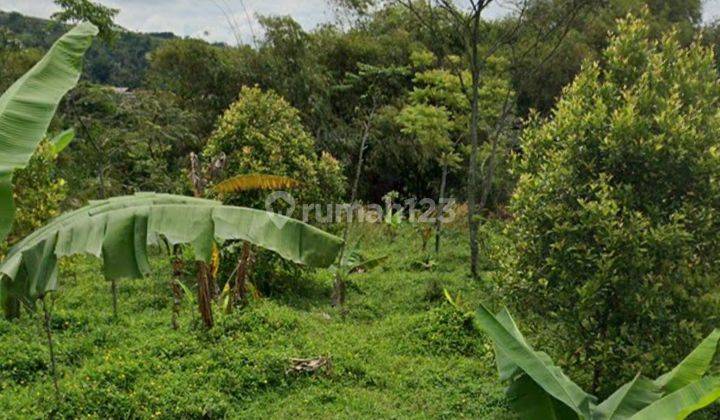 Tanah murah untuk villa+rumah tinggal sangat strategis view lepas 2