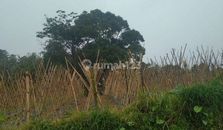 Tanah murah+rata sangat strategis view the best dicigombong 4