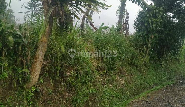 Tanah murah+rata sangat strategis view the best dicigombong 8