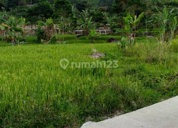 Tanah sawah murah nempel kali sungai sangat strategis view lepas  1