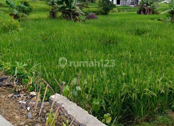 Tanah sawah murah nempel kali sungai sangat strategis view lepas  2