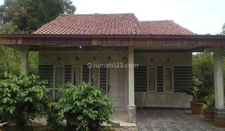 Tanah flus rumah kebun sangat strategis banget dileuwiliang  1