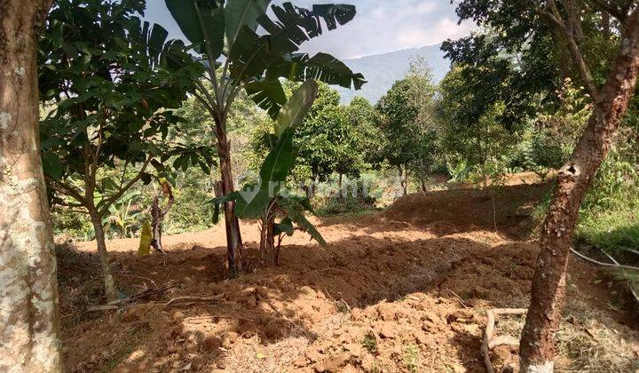 Tanah murah sangat strategis buat villa+berkebun dicijeruk  1