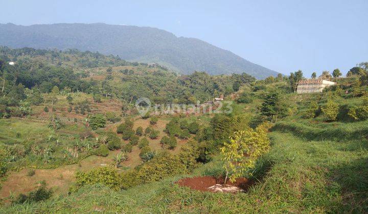 Tanah kebun durian murah sangat strategis view the best lepas  1