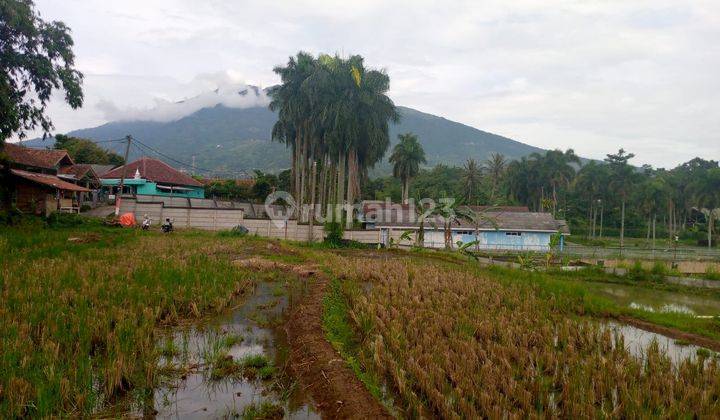 Tanah sawah murah sangat strategis banget view the best lepas  1