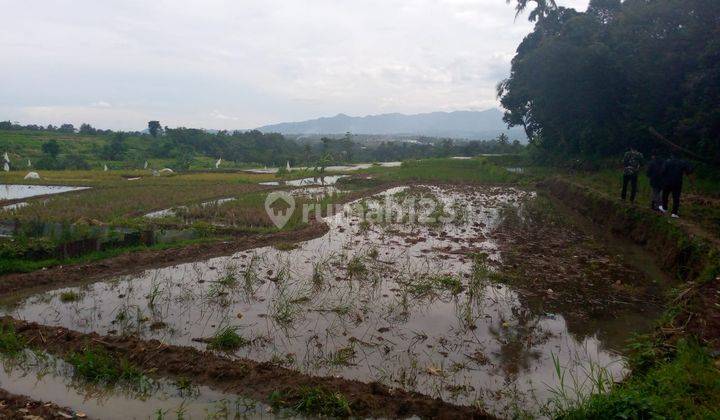 Tanah sawah murah sangat strategis banget view the best lepas  2