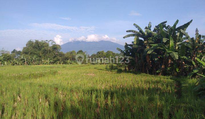 Tanah untuk cafe resort+villa sangat strategis view lepas  1