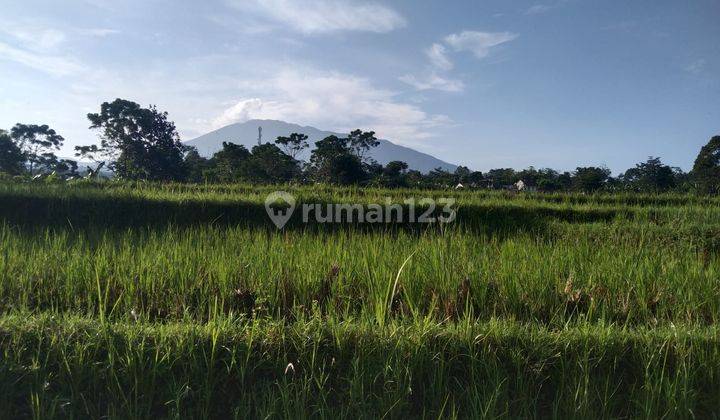 Tanah untuk cafe resort+villa sangat strategis view lepas  2