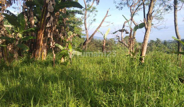 Tanah untuk cafe resort+villa sangat strategis view lepas  2