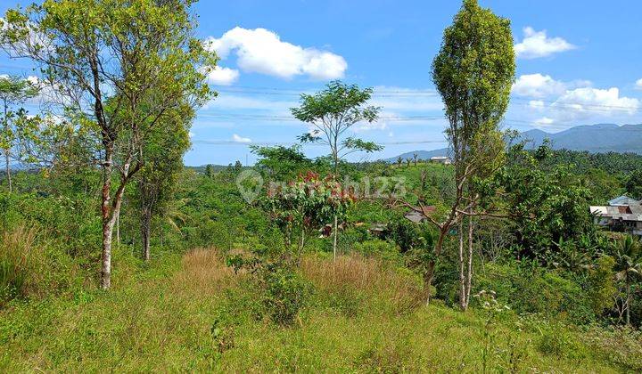 Tanah murah nempel jalan raya untuk investasi dicikidang 2