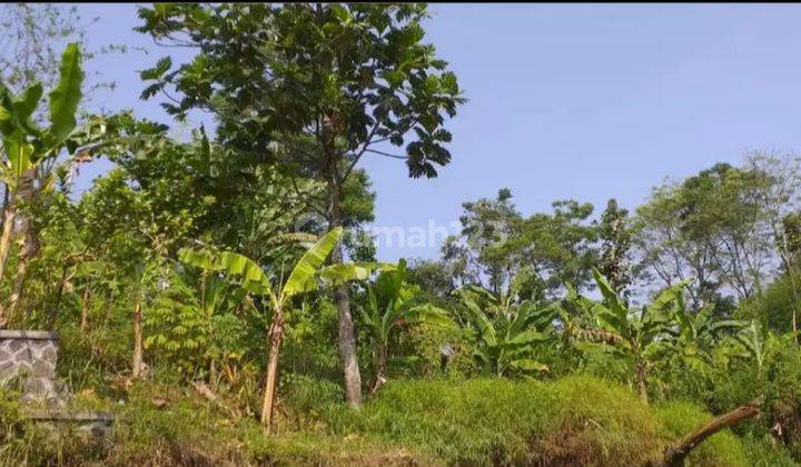 Tanah subur murah ada mata air dan kali sungai dicaringin  2