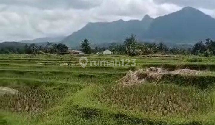 Tanah subur murah sangat strategis view lepas ke gunung 1