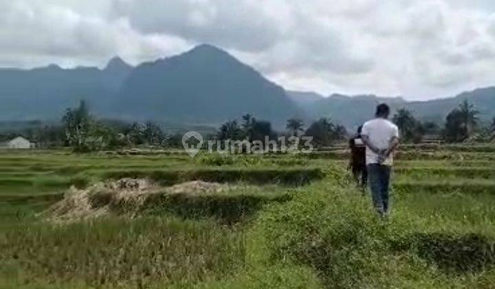 Tanah subur murah sangat strategis view lepas ke gunung 2