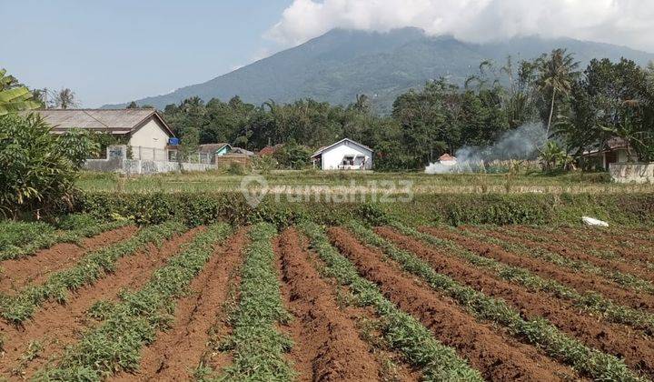 Tanah murah+rata sangat strategis view lepas ke gunung  1