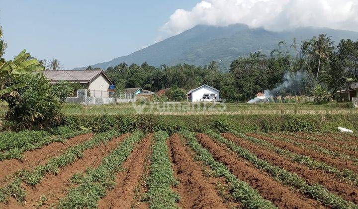 Tanah murah+rata sangat strategis view lepas ke gunung  2