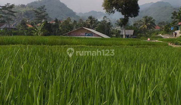 Tanah sawah+murah nempel kali sungai sangat strategis view lepas  1