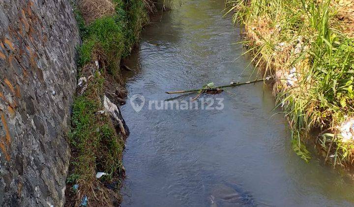 Tanah sawah+murah nempel kali sungai sangat strategis view lepas  2