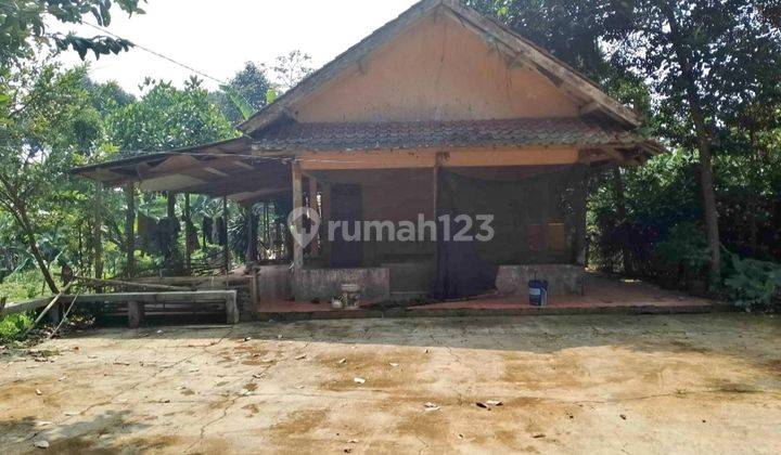 Tanah murah untuk investasi+berkebun villa sangat strategis 1