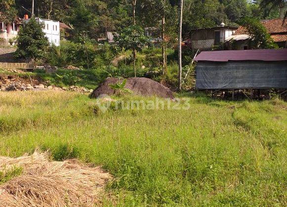 Tanah sawah bagus nempel kali sungai sangat strategis  1