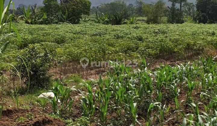 Tanah untuk villa sangat strategis view lepas dekat cafe tubing 2