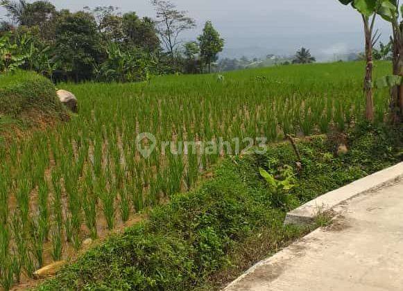 Tanah sawah bagus murah cocok untuk villa+Rumah view lepas 2