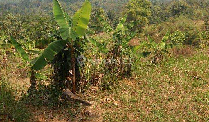 Tanah murah sangat strategis view lepas dicikidang  1