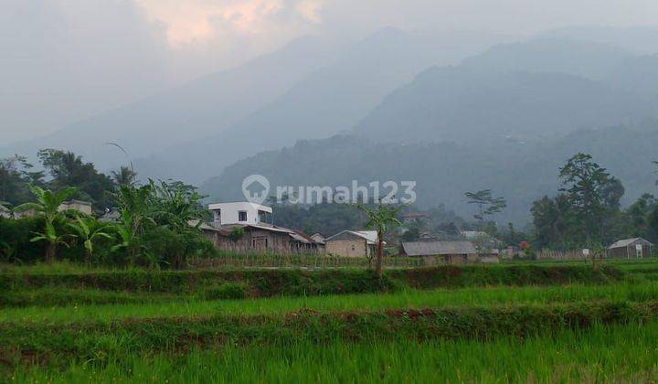 Tanah sawah sangat strategis view lepas air bagus  1