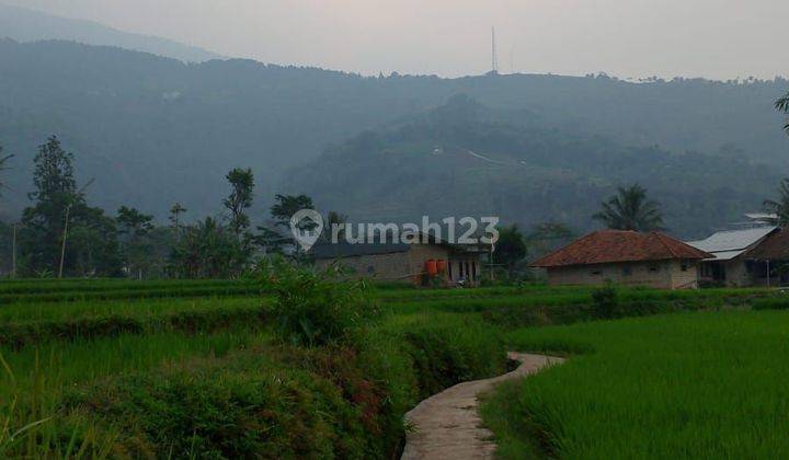 Tanah sawah sangat strategis view lepas air bagus  2