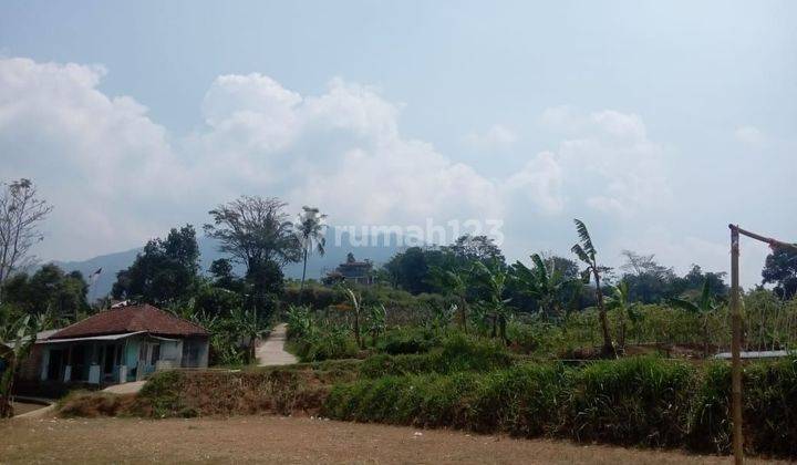 Tanah murah rata untuk villa+rumah sangat strategis view lepas  1