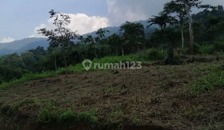 Tanah murah untuk berkebun+villa view lepas ke kota+gunung 1