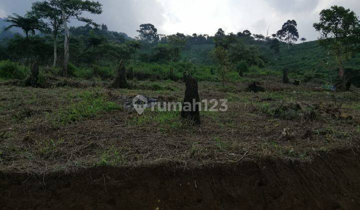 Tanah murah untuk berkebun+villa view lepas ke kota+gunung 2