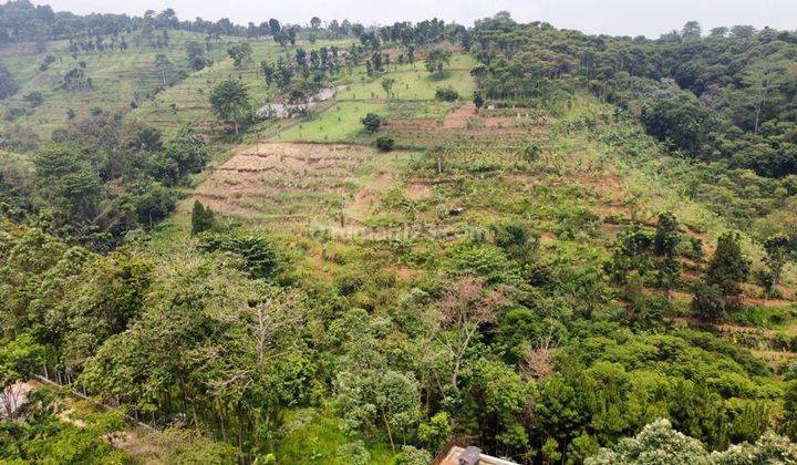 Tanah murah  flus bangunan+kebun luas 21ha sangat strategis  1