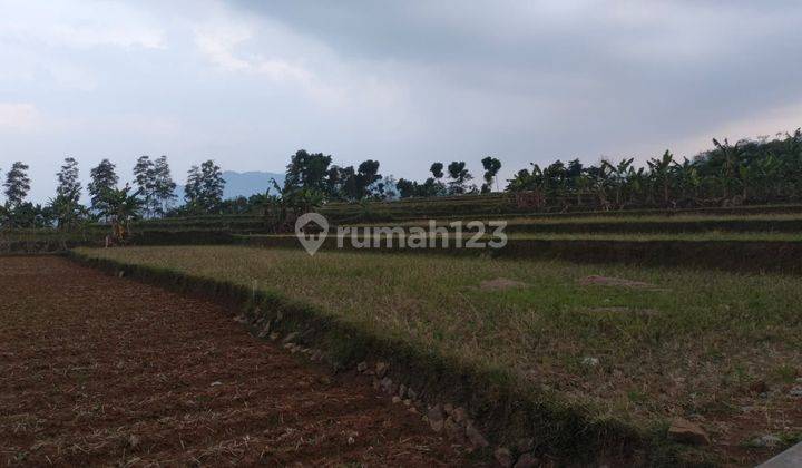 Tanah Murah Rata Dekat Wisata Nempel Jalan Raya  2