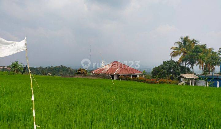 Tanah subur sawah murah sangat strategis view lepas kota+gunung 1