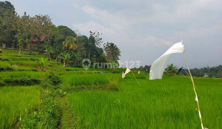 Tanah subur sawah murah sangat strategis view lepas kota+gunung 2