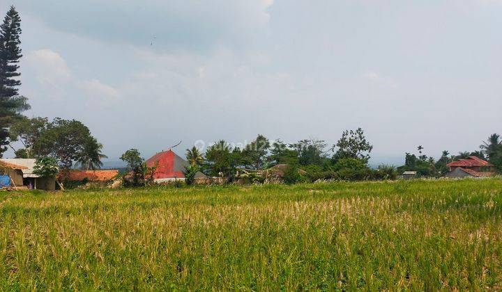 Tanah Sawah+rumah sangat strategis ada mata air view lepas 1