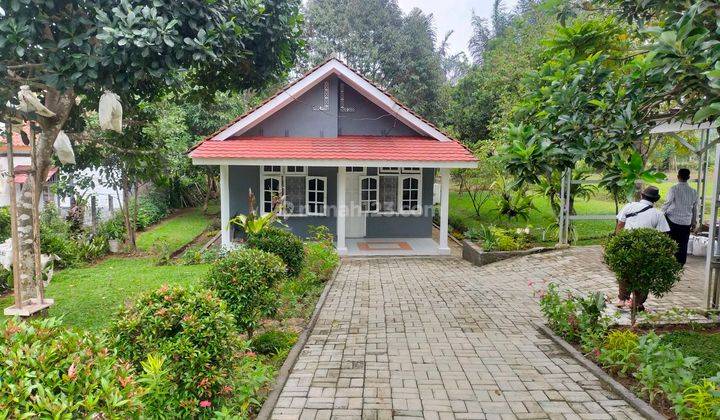 Villa cantik kebun siap huni sangat strategis view lepas  1