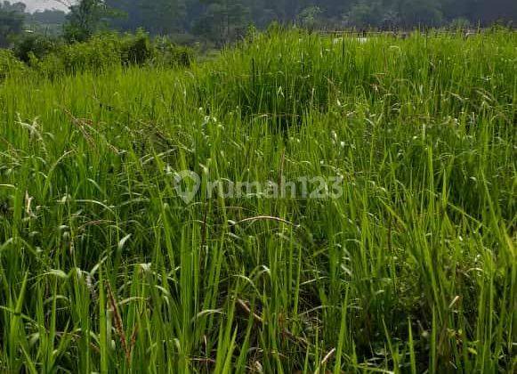 Tanah murah+rata nempel kali sungai sangat strategis  2