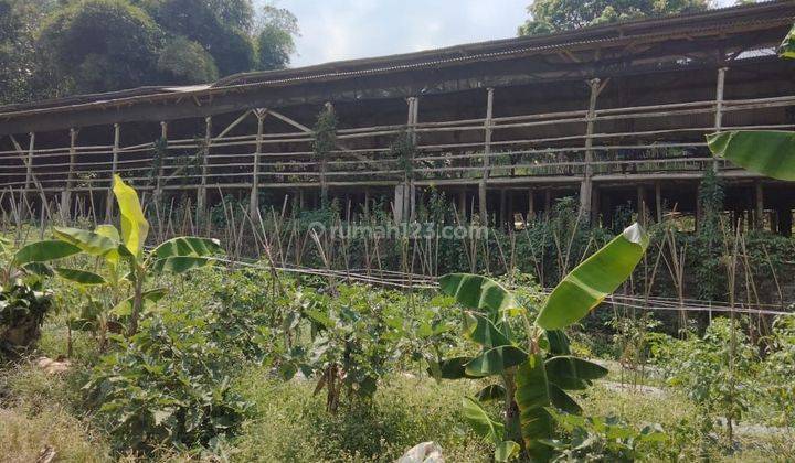 Tanah kandang ayam siap pakai lokasi sangat strategis 2