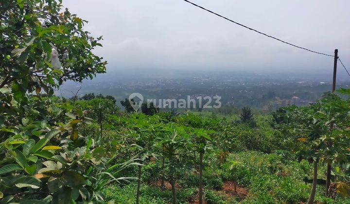 Tanah kebun full view sangat strategis untuk villa+glamping 1