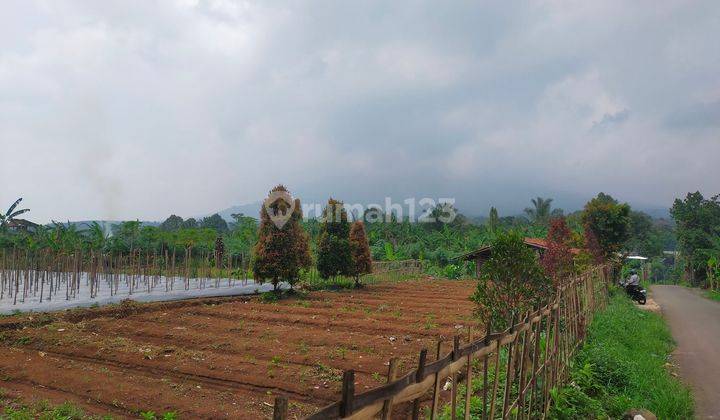 Tanah murah rata untuk cafe+villa+glamping view lepas ke gunung  1