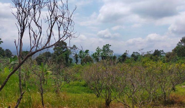 Tanah rata+murah sangat strategis view top lepas ke gunung 2